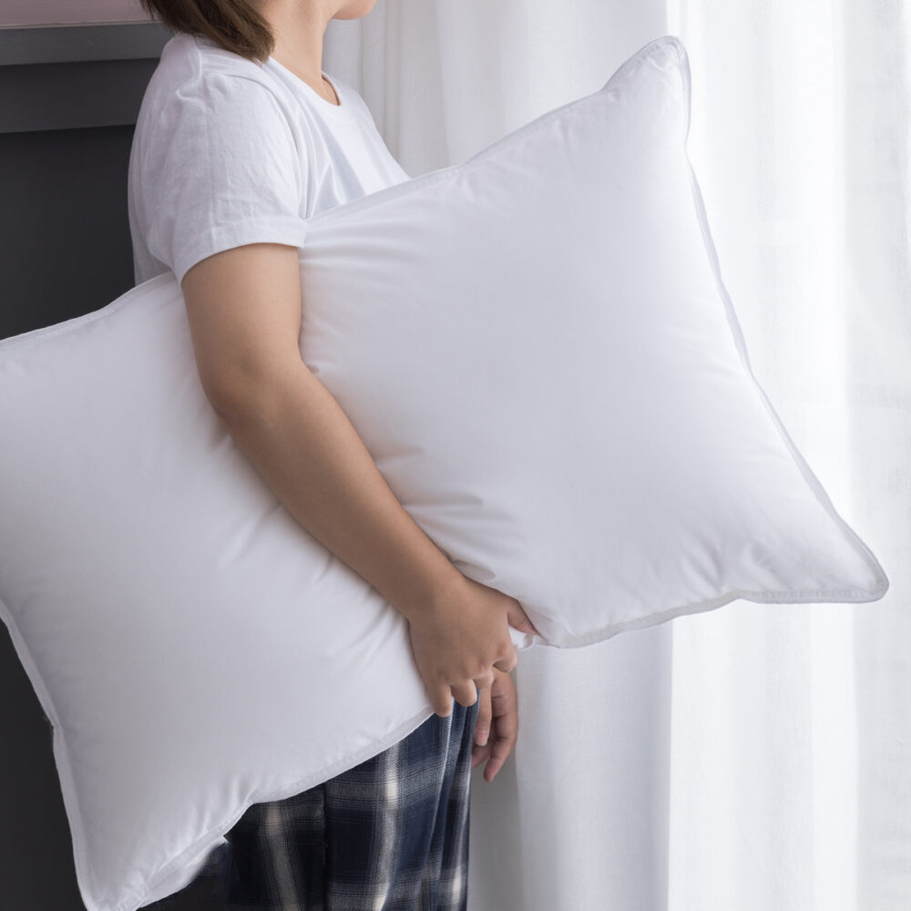 FeiFei Home Pillow 1Pc - Image 3